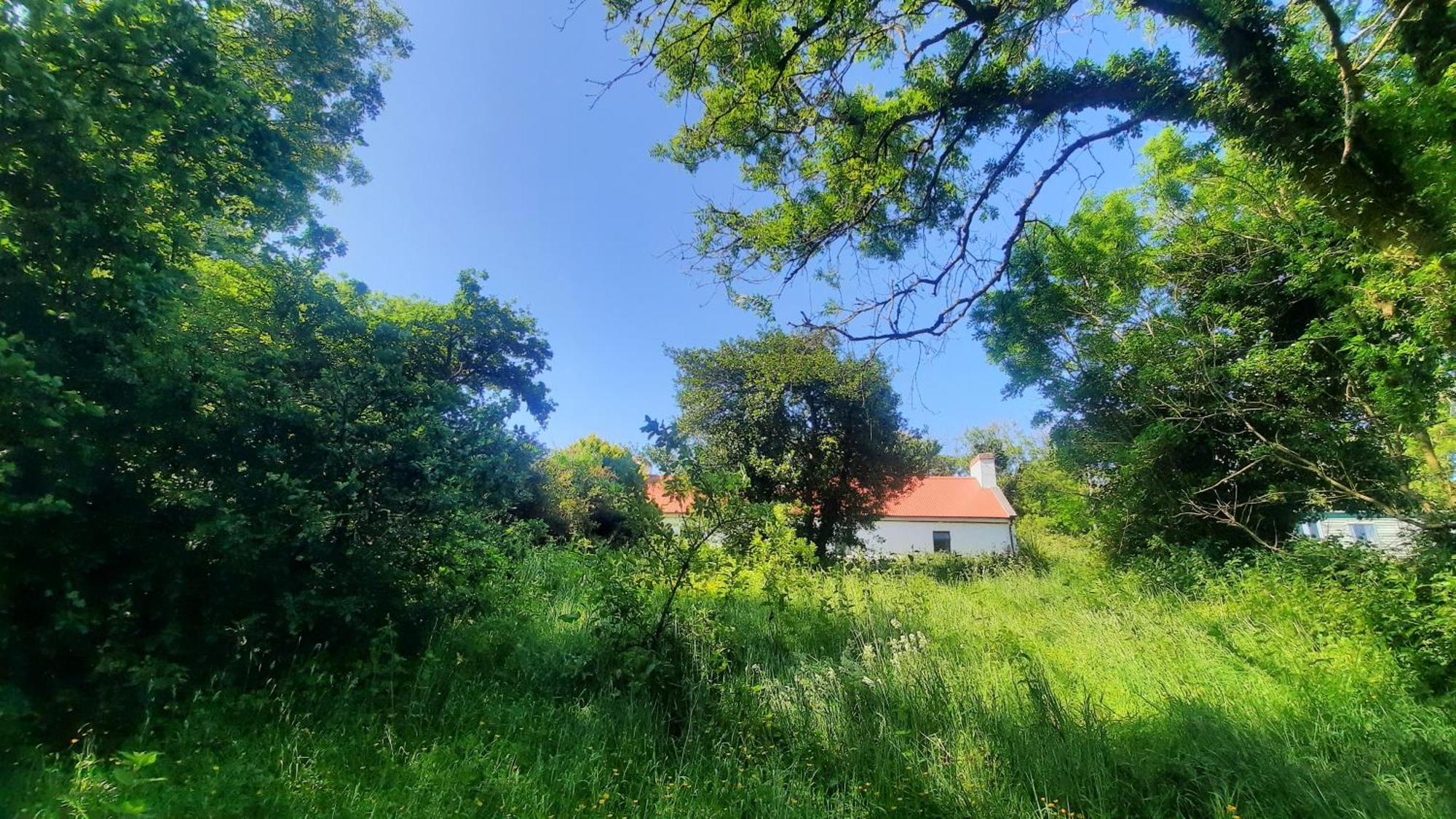 -Going Back In Time- 200 Year Old Farmhouse Creegh Exterior foto
